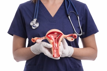Una profesional médica en uniforme azul y guantes blancos sostiene un modelo anatómico del útero y los ovarios, mostrando sus estructuras internas.