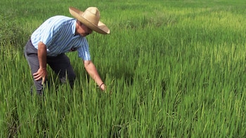 Piden a Gustavo Petro soluciones