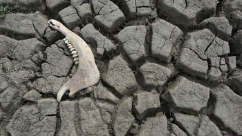 La ONU advierte de la