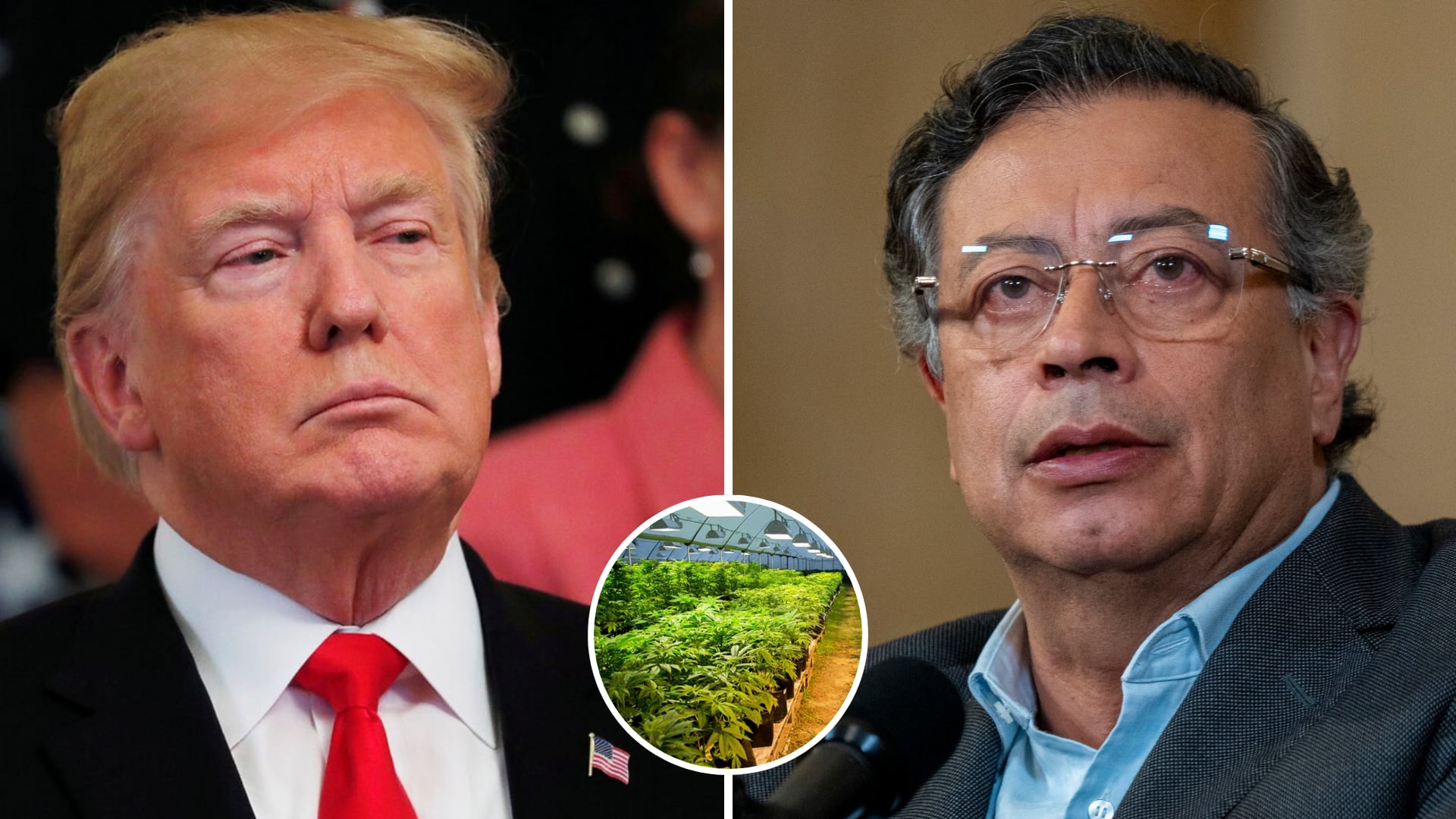 Estados Unidos descertificó a Colombia en la lucha contra el narcotráfico en 2025, cuando gobernaba Gustavo Petro - crédito Reuters - Presidencia