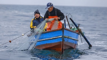 Perú, Chile y Ecuador fijaron
