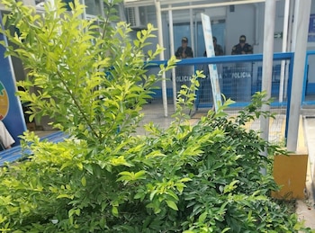 La detención forma parte de