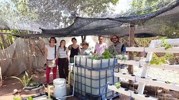 Proyecto de acuaponía de la