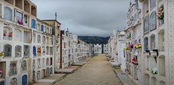 Aves negras y objetos desconocidos