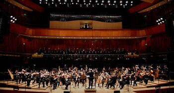 "Es un proyecto de verdadero