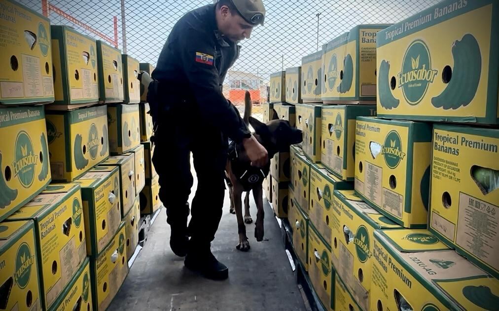 La Policía incluye en sus operativos la revisión de los productos de exportación que salen de los puertos. (Policía Nacional)