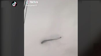 (Captura: TikTok / Diego