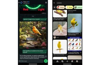 Los usuarios pueden obtener las