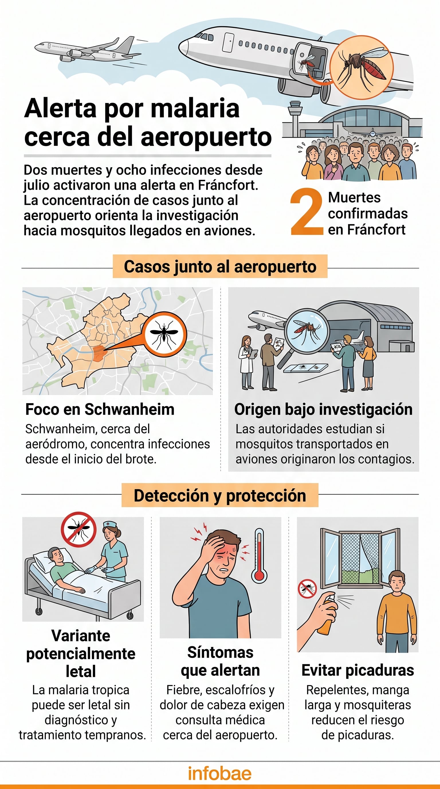 Una infografía expone la alerta sanitaria en Fráncfort por casos de malaria registrados en las cercanías del aeropuerto internacional (Imagen Ilustrativa Infobae)