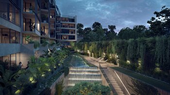 Aura Núñez con jardines verticales.