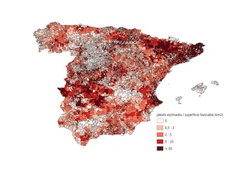 Estimación de densidad de jabalíes.