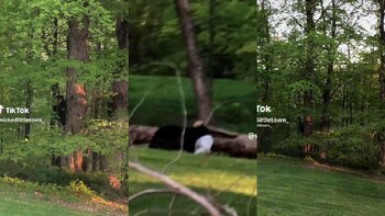 Gina explicó que no es