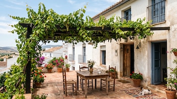 Terraza de baldosas con mesa de madera, sillas, macetas con flores, un perro sobre una alfombra y una parra en una pérgola.