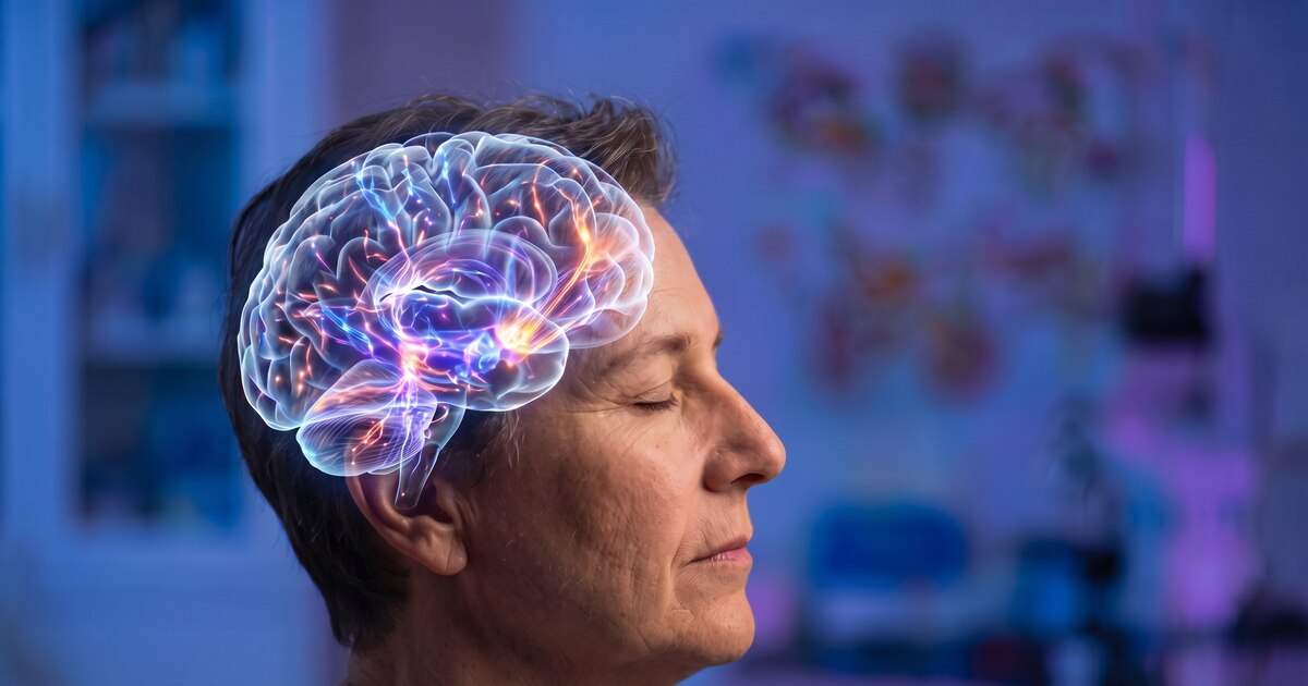 Photo: Infobae Cerveau humain : une étude de Science révèle des changements entre 50 et 75 ans
