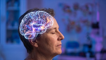 Un estudio analizó cómo cambia el cerebro entre los 50 y 75 años: el dato que sorprendió a los científicos