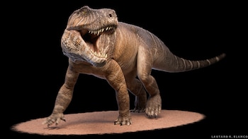 Descubren una nueva especie de reptil gigante que vivió hace 237 millones de años en La Rioja