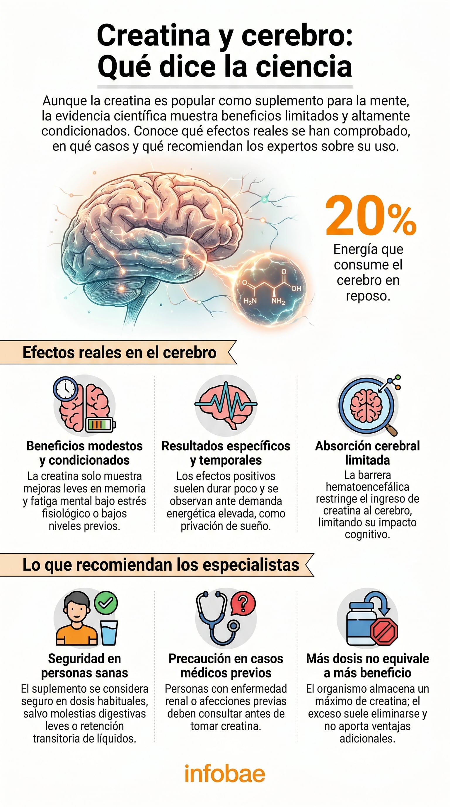 Los beneficios de la creatina en la función cerebral aparecen sobre todo en situaciones de estrés fisiológico o bajos niveles previos en el organismo (Imagen Ilustrativa Infobae)