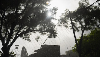 El tribunal admitió el resarcimiento