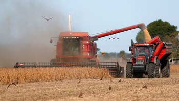 La actividad económica cayó 0,8%