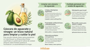 Infografía con ilustraciones de aguacates y una botella de aceite, detallando con texto e iconos cómo usar cáscara de aguacate para limpieza y aceite para la piel.