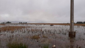 Lotes agrícolas de Córdoba afectados