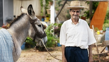 Día Mundial del Burro – burro – Perú – noticias – 8 mayo