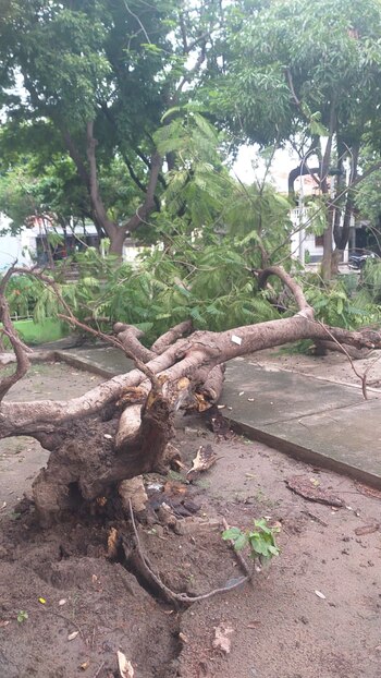 De acuerdo con el mayor