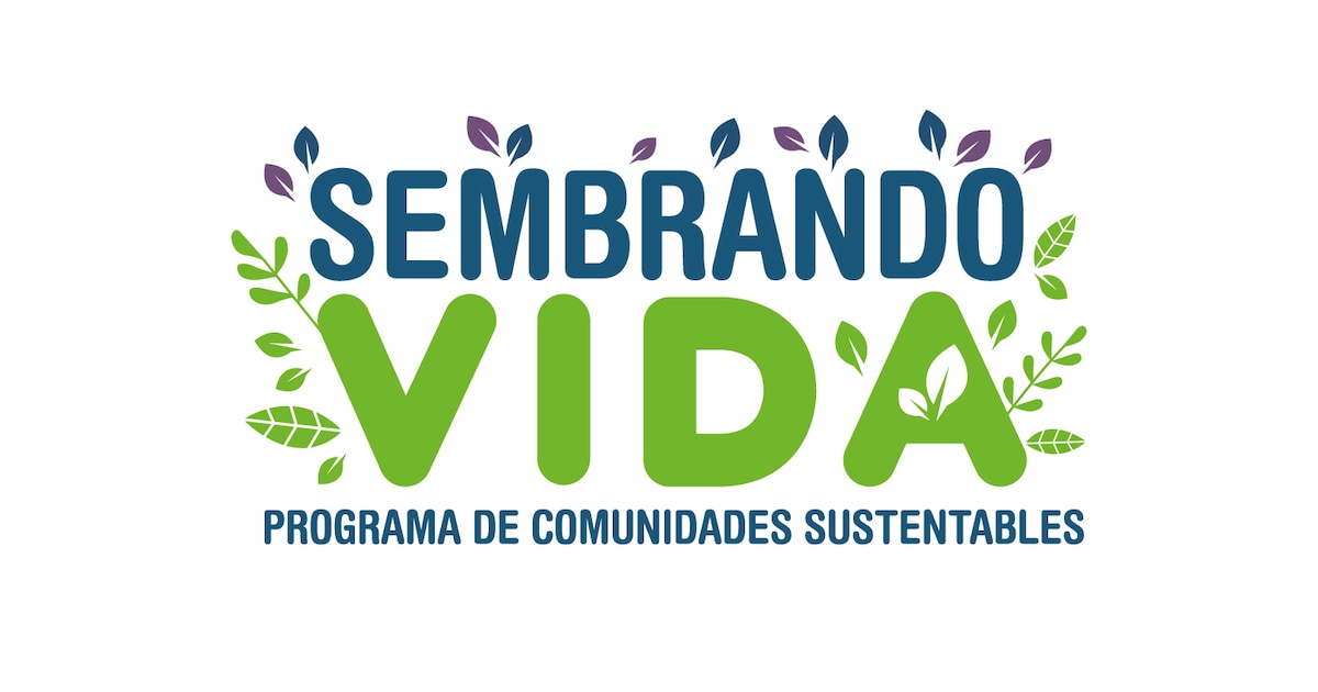 Programa Sembrando Vida MX