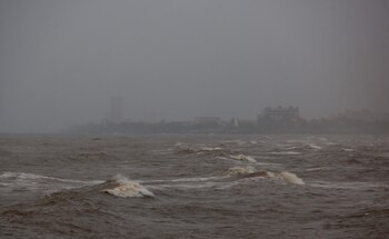 Se estima que este año