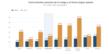 Gráfico de barras con los precios en dólares por kilo de nalga y lomo vacuno en Brasil, Paraguay, Uruguay, Argentina, Estados Unidos y otros países