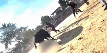 Un toro negro en la arena, un hombre caído en el suelo, un hombre con sombrero de vaquero y otros hombres, polvo en el aire y vallas de un corral
