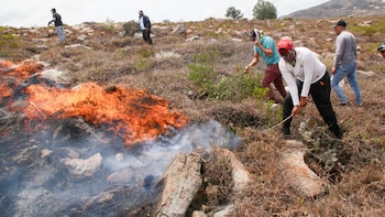 EN VIVO | Continúa la emergencia por incendio forestal en Villa de Leyva: ministro del Interior aseguró que está controlado el 75%