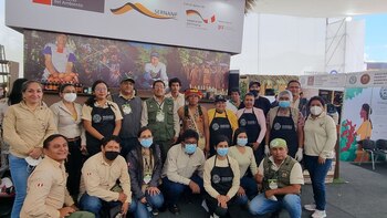 Si eres estudiante universitario o