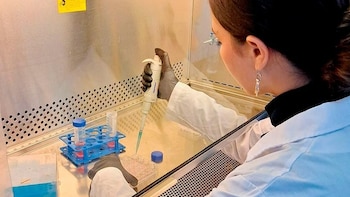 Científicos argentinos crean un test de sangre para detectar trastornos del neurodesarrollo en niños