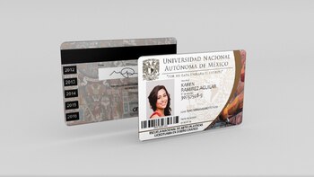 Cuáles son los descuentos que