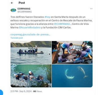 Corpamag informa de la