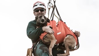 Karla, la perra jubilada de