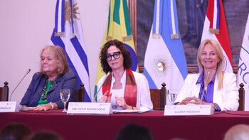 Cecilia Todesca Bosco presidió la