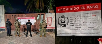 Cateo en Playa del Carmen.