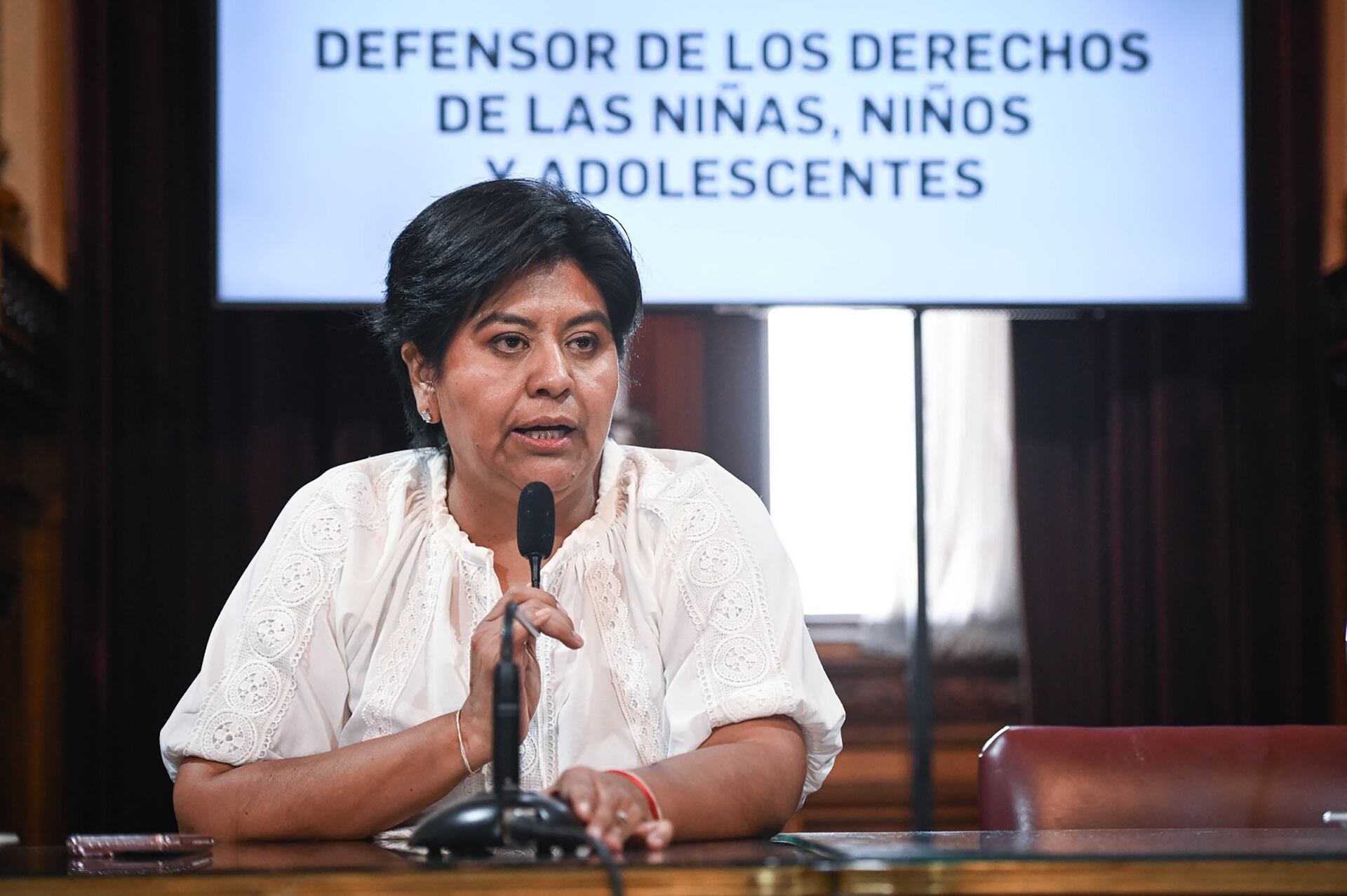 La diputada radical Natalia Sarapura (Jujuy) tuvo dificultades para ordenar la bicameral