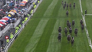 Los pasos para jugar Quíntuple