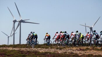 Las energías renovables abastecieron 61