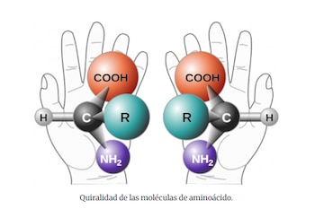 Las moléculas quirales se parecen a las manos humanas, comparten composición pero no pueden superponerse con su imagen reflejada