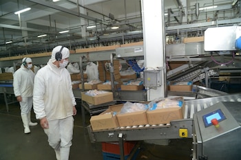Huevo embalado para exportación