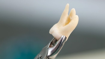 Congreso promulga ley que crea el Colegio de Cirujanos Dentistas del Perú y habilita el ejercicio hasta los 75 años