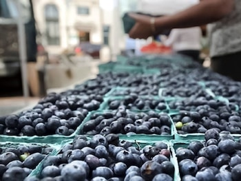 El aumento de las exportaciones se da mientras Perú mantiene una posición destacada en el mercado mundial de arándanos frescos.