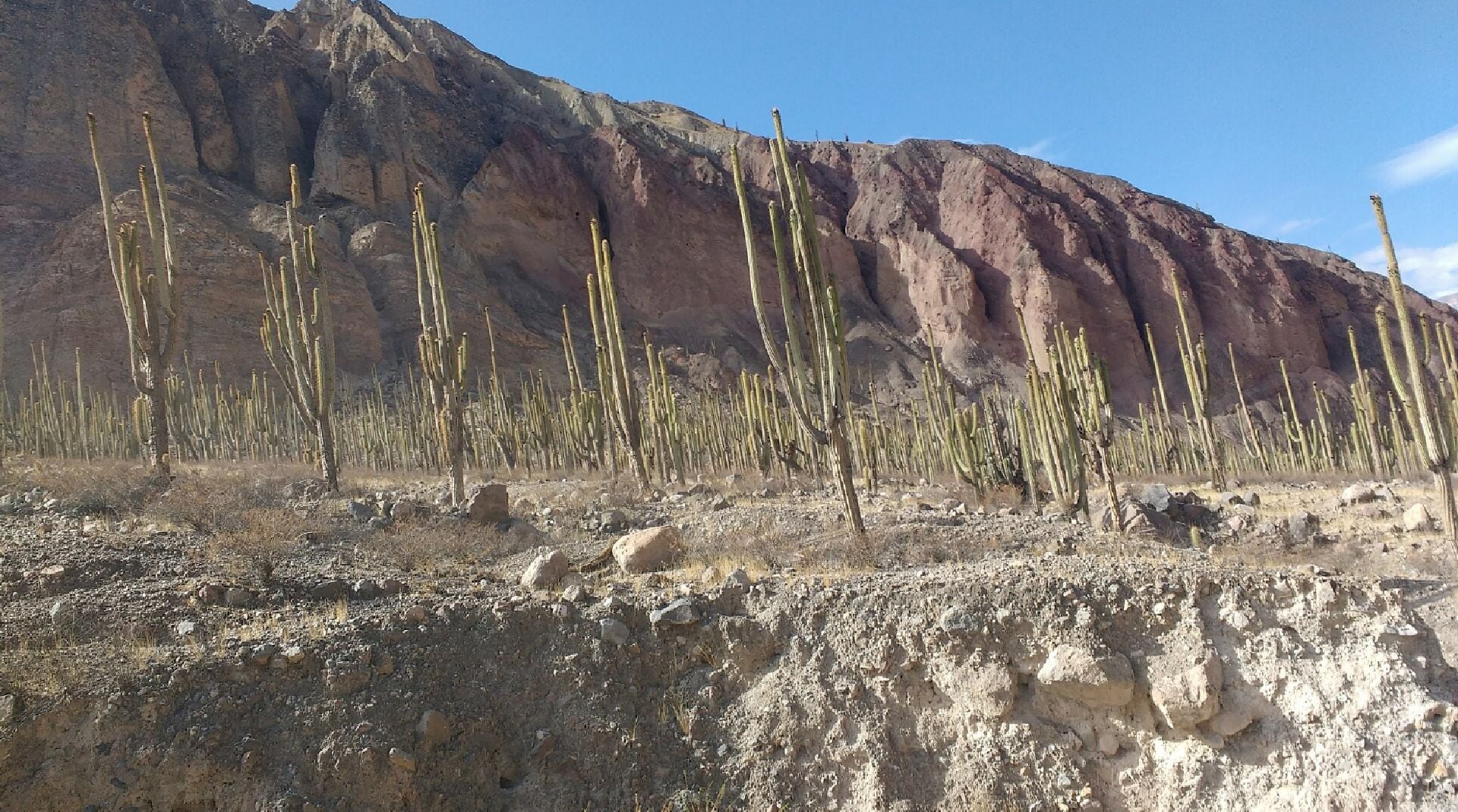 La creación de La Unión marcó un hito en la organización territorial de Arequipa, dando forma a una provincia de geografía desafiante y profunda identidad andina. (Sardatanas)
