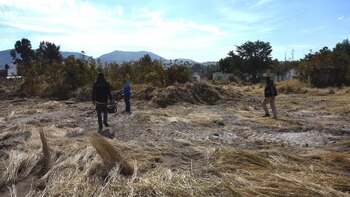 Narcofosas en zonas de influencia