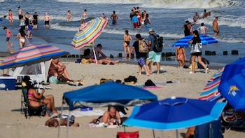Se han avistado varios tiburones en una conocida playa de EE. UU. y activan cierres temporales en medio de una intensa ola de calor