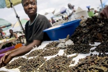 3.000 grupos étnicos en 130